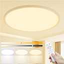 20 Inch LED Flush Mount Ceiling Light,48W Ultra-Thin Modern Round Light Fixture with Remote,Dimmable 3000K-6000K,White,4800LM,Memory & Night Light Mode for Bedroom, Kitchen,Living Room