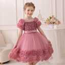 Little Girl Dress with 3D Floral Embroidery Flower Girl Dresses for Easter, Wedding, Birthday Or Graduation (2-3T, Dusty Rose)