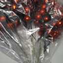 Geosar 24 Pieces Christmas Glitter Berries Stems 10 Inch Christmas Berry Picks Artificial Glittered Berries Ornaments Floral Stems for Xmas Tree,Home Wreath,Party Decoration(Red)