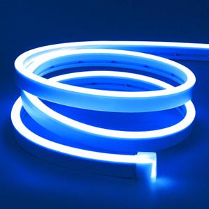 Lamomo LED Neon Lights, 16.4ft Blue LED Strip Light, 12V 0.39in/Cut Silicone Waterproof Neon Rope Light, DIY Neon Sign for Bedroom Indoor Outdoor Decoration Power Adapter not Included (6mmx12mm)