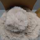 blunique Ultra Soft Cozy Faux Fur Throw Blanket, Fuzzy Plush Thick Bubble Blanket, Oversize Luxury Fluffy Blanket for Couch, Sofa, Bedroom, and Living Room, 50x60 Inches, Light Brown