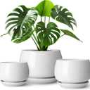 vancasso 3-Pack Ceramic Plant Pots, 3.7/4.8/6.2 Inch Indoor Planters with Saucers & Drainage Hole Planter pots for Indoor Plants and Flower, White (Small-3pcs/Set)