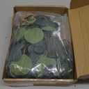 Juexica Artificial Hanging Eucalyptus Wall Decor Boho Bedroom Wall Decor with LED String Light for Home Office Farmhouse Nursery Bathroom Kitchen