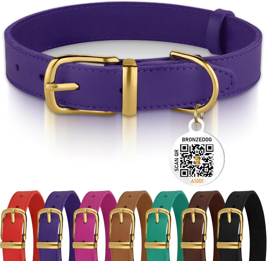BRONZEDOG Leather Dog Collar with Metal Buckle Durable Basic Pet Collars for Small Medium Large Dogs (11-13 Inch (Pack of 1), Purple & Gold Buckle)