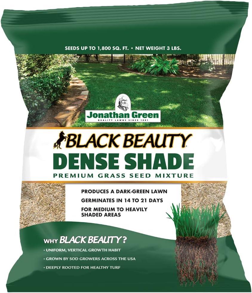 Jonathan Green (10600) Black Beauty Dense Shade Grass Seed - Cool Season Lawn Seed (3 lb)