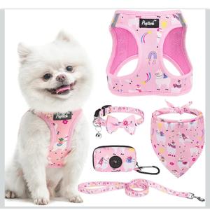 PUPTECK Adjustable Dog Harness Collar and Leash Set, Step in No Pull Pet Harness for Small Medium Dogs Puppy Cats Outdoor Walking, Soft Mesh Padded Reflective Vest Harnesses, Light Pink Alpaca, XS