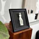 FOLKOR LIFE Framed Black and White Wall Art Sculpture Venus de Milo, Greek Roman Mythology Goddess Aphrodite Statue Framed Plaster Relief Wall Decor for Living Room, Hallway, Entryway Decoration