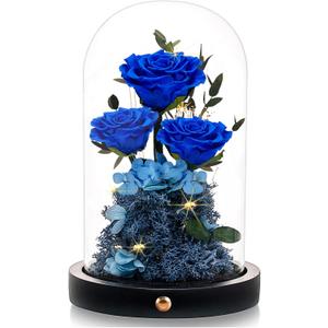 Valentines Day Flowers Roses Gifts for Women Her,Forever Preserved Rose in Glass Dome, Valentines Anniversary Birthday Real Roses Gifts for Wife Women Girlfriend Best Friend/Blue
