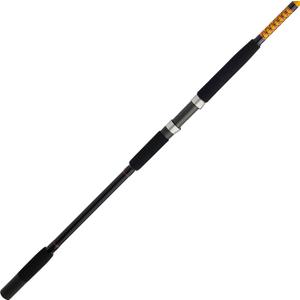 Ugly Stik Bigwater Spinning Fishing Rod, New Model