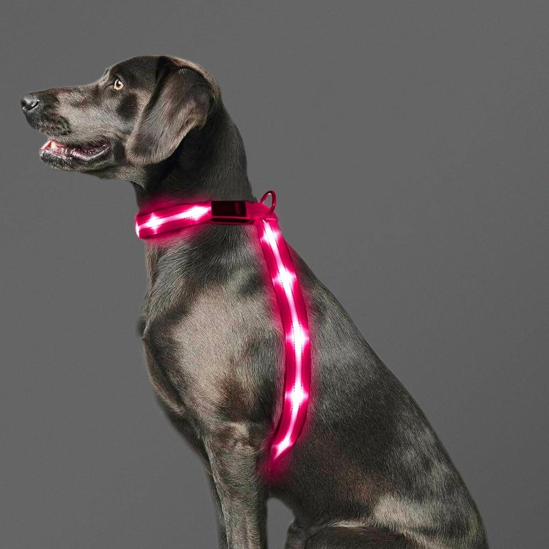 LED Light Up Dog Vest Harness Rechargeable, Soft Padded, Adjustable & Reflective, Waterproof, Glow Dark Dog Light Harness for Camping Night Safety Walking, Large Pink (L Neck+Chest144cm(57"))