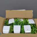 Tigeen 24 Pots Small Fake Plants Mini Eucalyptus Potted Artificial Plants Greenery Eucalyptus Rosemary Gladiolus Magnolia Aloe Faux Plants for Home Indoor Room Decor (Stylish Style)