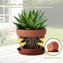 KOAMLY 2 PCS Clay pots and Plates, 5-inch red Clay pots with Drainage, Perfect for Indoor, windowsill, and Garden Plants