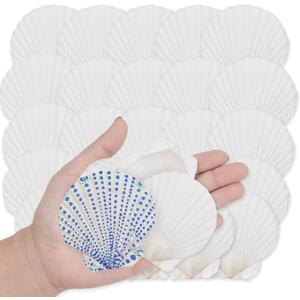 SINKOO 25 PCS Small Scallop Shells 2"-3" White Natural Seashell for DIY Craft Mermaid Beach Wedding Home Decoration