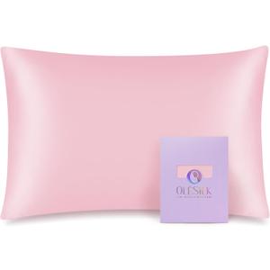 OLESILK 100% Mulberry Silk Toddler Pillowcase for Hair and Skin, Both Sides 19 Momme Pure Natural Silk Travel Pillow Cases with Hidden Zipper, 13"x 18", Pink