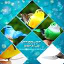Threan 5 Pcs Artificial Birds Fake Birds Clip on Realistic Bird Ornaments Figurines for Tree Feathered for Spring Easter Party Wreath Craft Yard Garden Home Decor Flower Arrangement, Assorted Colors