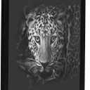 Americanflat 17x17 Picture Frame with Polished Plexiglass - Epic Collection - Square Picture Frame with Engineered Wood - Wide Photo Frames for Wall display - Black