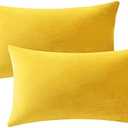 DEZENE Couch Pillow Covers 12x20 Yellow: 2 Pack Cozy Soft Velvet Rectangular Throw Pillow Cases for Farmhouse Home Decor