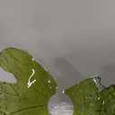 Qepeety Mid Century Chandeliers 3-Light Green Glass Hanging Pendant Lamp Art Decoration Light Fixtures Walnut Wood Black Vintage Chandelier for Dining Room, Living Room, Bedroom