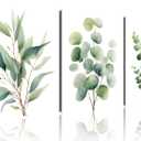 TutuBeer Botanical Plant Canvas Wall Art Botanical Pictures Wall Art Sage Green Eucalyptus Leaf Print on Canvas Minimalist Aesthetic Bedroom Artwork for Bathroom Bedroom Living Room Office 12"X16"X3