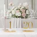 Wedding Table Number 1-20 with Stand,Gold Arched Acrylic Sign with Holder for Wedding Reception,Centerpiece,Anniversary