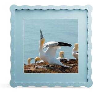 10x10 Picture Frame with Mat for 8x8, Wavy Edge Wooden Real Glass Photo Frame for Tabletop and Wall Hanging, Blue, 1 Pack