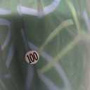 Girls Disgust Costume Dress Kids Green Fancy Dress up Halloween Carnival Party Cosplay Costume (2-3 Years)