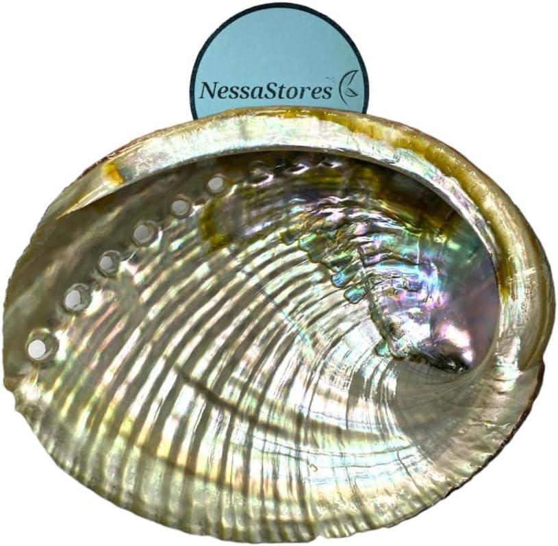NessaStores 30 Abalone Shells 4 to 5 Inches | Beautiful All Natural Smudge Bowl - Perfect for Smudge Sticks, Incense Sticks and a Sage Smudge Kit. JC-011