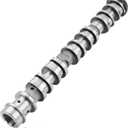 Right Side Intake Camshaft Compatible with Chrysler Voyager Chrysler Pacifica Dodge Durango Jeep Wrangler Grand Cherokee Gladiator Ram 1500 2500 3500 Engine Camshaft Replacement for 5047913AD