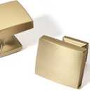 TUNNY 10 Pack Cabinet Knobs-Champagne Bronze Single Hole Drawer Handles Kitchen Cabinet Handles Drawer Pulls Kitchen Cabinet Hardware Bedroom Cabinet Pulls