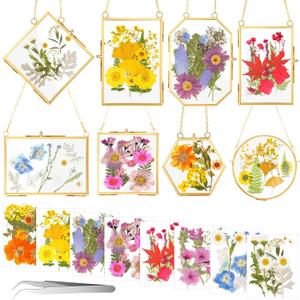 Barydat 8 Set Glass Pressed Flower Frames 8 Different Shapes Hanging Photo Picture Frame Gift with 8 Bag Dried Flowers Chains for Artwork Frame Home Wall Decor Plant Specimen Photo Display(Brass)