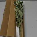 Waipfaru Faux Olive Branches for Vases, Olive Tree Branches with Lifelike Olives, Artificial Greenery Stems Decor for Centerpieces Floral Arrangements Vases (3Pcs, 18 Inch)