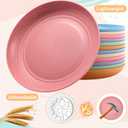 18PCS Wheat Straw Plates,9 Inch Reusable Plastic Plates, Unbreakable Deep Dinner Plates, Dishwasher & Microwave Safe Plates, Lightweight Plates for Kitchen Camping,BPA Free(Multicolor)