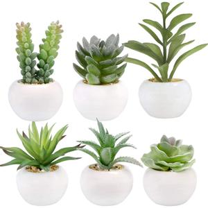 GREENTIME 6 Pcs Mini Artificial Succulents Plants in Ceramic Pots Small Fake Succulent Faux Plant Indoor Decor Bedroom Desk Bathroom Office Living Room Table Shelf Teacher Appreciation Green White