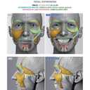Anatomy of Facial Expressions, Paperback