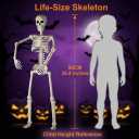 HBSTK 2 Pack 36 Inches Halloween Skeleton Full Body Posable Movable Jonints for Halloween Decoration Dcor, 2 Pack 40Inch Skeleton