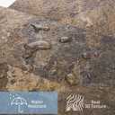 Art3d 102-Piece Peel and Stick Tile Backsplash for Kitchen Bathroom, 3in.  6in. Stick on Subway Tile Rust Slate