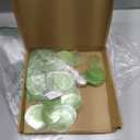 uxcell 120Pcs Capiz Shells 2" Round Natural Shells with 2 Holes for Seashell Wind Chimes Curtain Shell Garland DIY Craft Wedding Home Decoration, Green