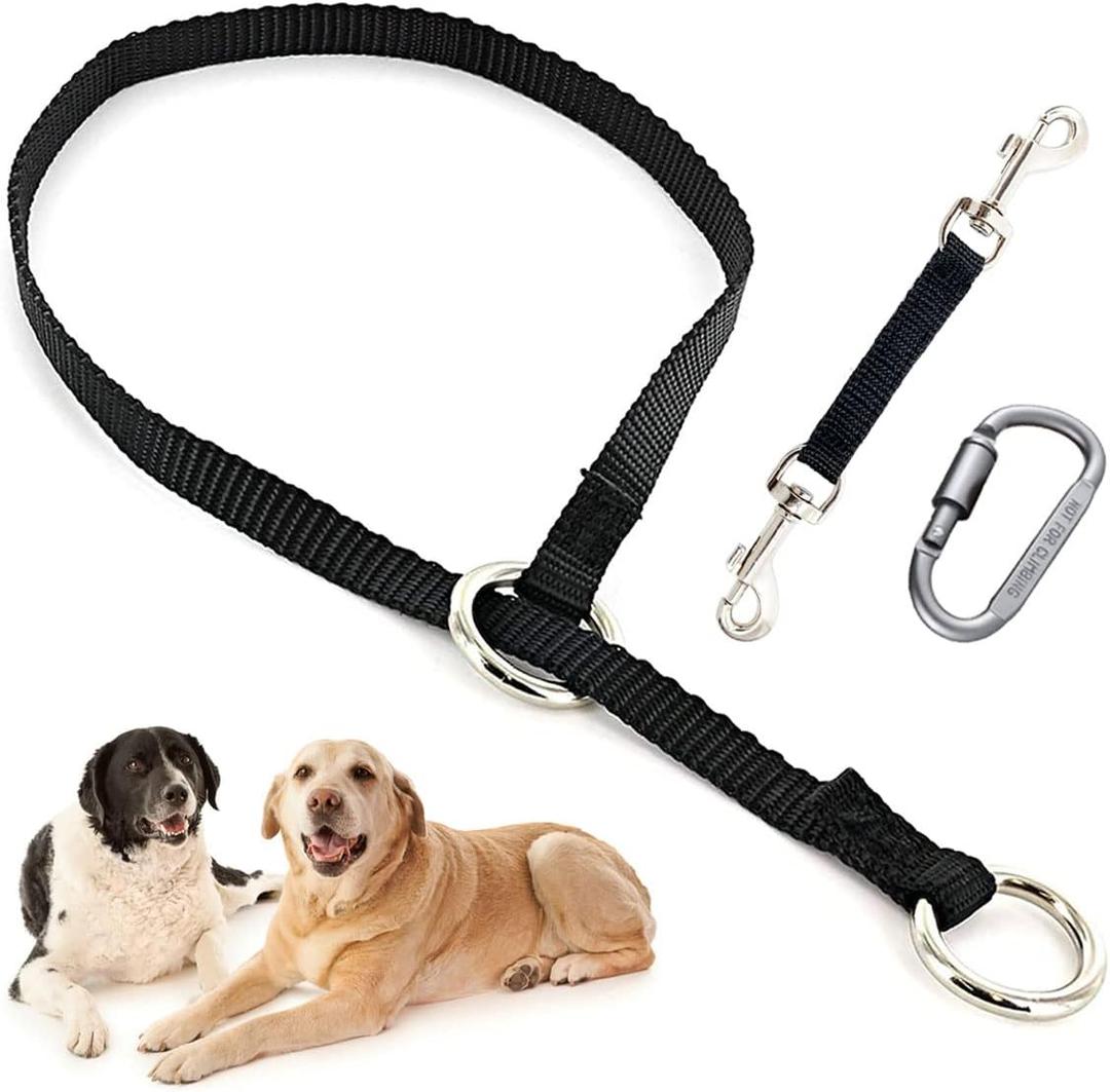 Mayerzon Backup Collar, Double Ended Clip and Carabiner for Prong Collar, Pinch Collar and Dog Harness, Safety Use for Walking and Training (L, Black) (Large,21.7in, Neck 16-20in)