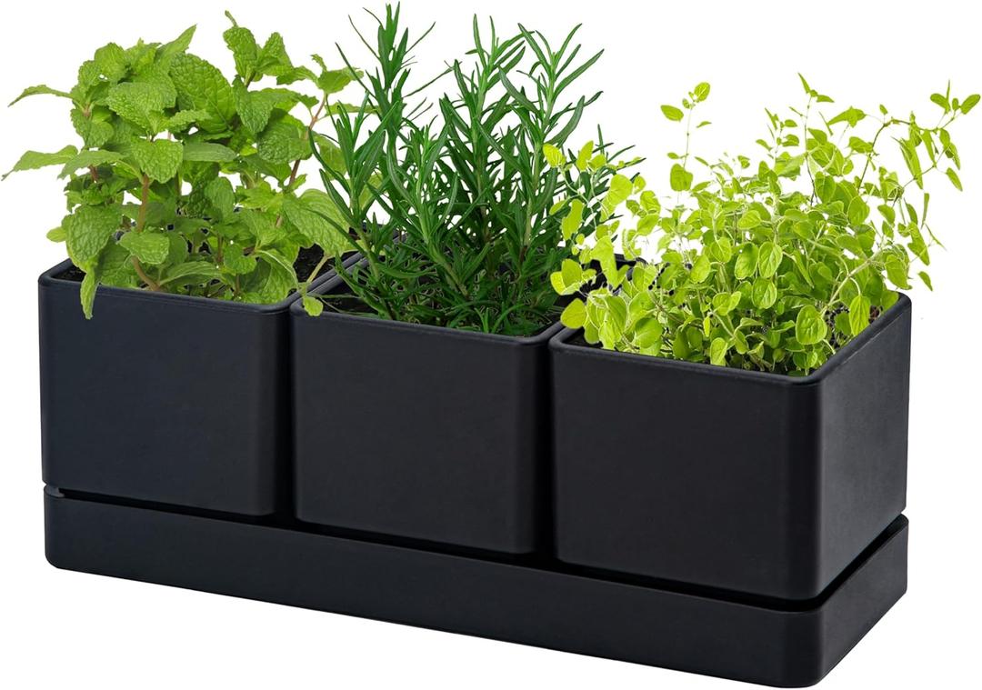 D'vine Dev Herb Garden Planter Set, Plastic Plant Pots with Drainage and Saucer, Indoor Succulent Cactus Vegetable Pot for Windowsill, Garden Balcony, Black, Set of 1, 76-V-B-1