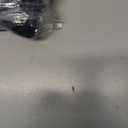 Junk Food Clothing x NFL - Bold Logo - Short Sleeve Fan Shirt for Men and Women - Officially Licensed NFL Apparel (Black)