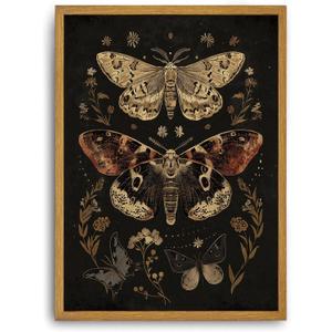 Framed Vintage Moth Butterfly Wall Art Dark Academia Wall Decor Pictures Boho Botanical Canvas Art Prints Nature Artwork Paintings for Living Room Bedroom 12x16in