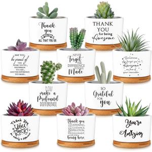 Yaomiao 20 Pcs Thank You Employee Appreciation Plant Bulk Gifts Succulent Gifts for Women Ceramic Pot Small Succulent Flower Pots with Bamboo Tray for Coworkers