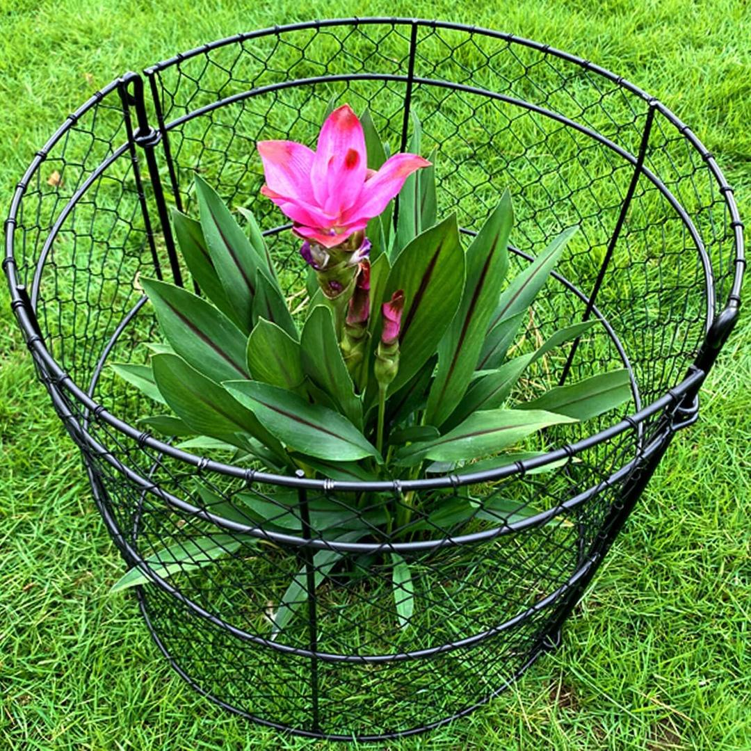 10 Pack Garden Cloches for Plants, Chicken Wire Cloche, 14" D x 16" H Wire Plant Protector, Plant Protectors from Animals, Garden Cloche, Protection for Your Plants and Seedlings - Black