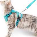Cat Harness and Leash Escape Proof Medium Kitten Harness Bengal Cat Vest for Walking Travel, Turquoise, M