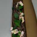 WEISPARK Artificial Flowers, 2pcs Fake Cherry Blossom Branches 31 Inch Long Stem Silk Flowers for DIY Vase Home Hotel Office Wedding Party Garden Decor (Pink)