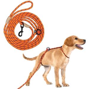12ft No Pull No Choke Leash Long Rope Dog Leash, Anti Pulling, Dog Leads for Walking, Double Hook & Escape Proof for All Breeds, Reflective Orange