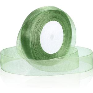 Light Green Ribbon for Gift Wrapping 1 Inch 50 Yards Green Sheer Organza Ribbon Chiffon Fabric Ribbons for Gift Wrapping, Flower Bouquet, Wedding, Christmas, Crafts, Decoration