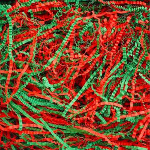 Uptotop 1 LB Crinkle Cut Paper Shred Filler for Gift Wrapping, Gift Basket Filling, Perfect for Birthday, Christmas, Thanksgiving, Halloween, Easter, Valentine's Day, Mother's Day, Father's Day, Wedding & Holiday Decor, Red and Green