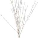 Light Garden 01915-184135 60LT 20" LED BIRCH BRANCH SET Electric Lighted Twigs