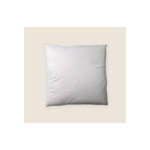 21" x 21" 25/75 Down Feather Pillow Form